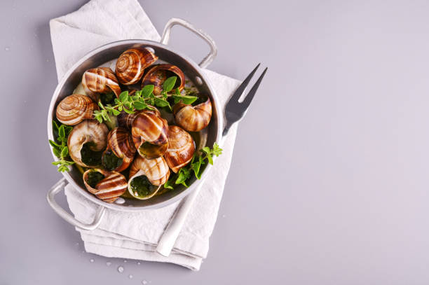 istock Delicious cooked sea escargo snails in a frying pan on a gray table 1328500738