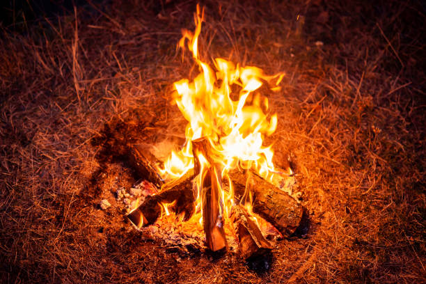 istock Bonfire in nature in the evening 1328504983
