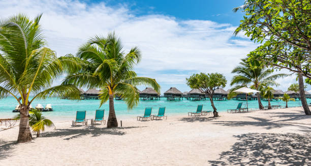 istock Luxury travel resort at tropical beach. 1328506468