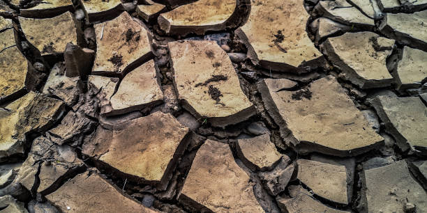 산강 둑에 마른 금이 간 땅 - dry river textured effect dirt 뉴스 사진 이미지