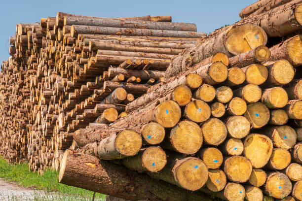 istock Storage place for wood logs 1328507684