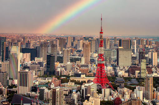 Long distance shot from Shinjuku to Asakusa area, and Tokyo skytree is also in there.