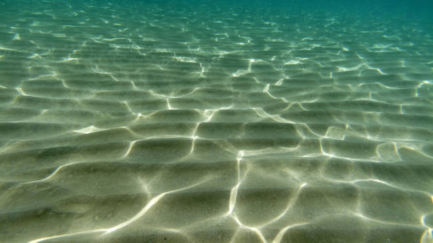 istock sand bottom underwater swimming in turquoise lagoon 1328511212