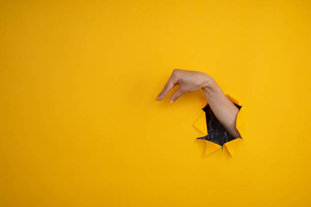 istock Hand showing a duck symbol over isolated background 1328511667