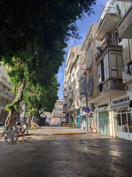 Street view trees & building Tel aviv