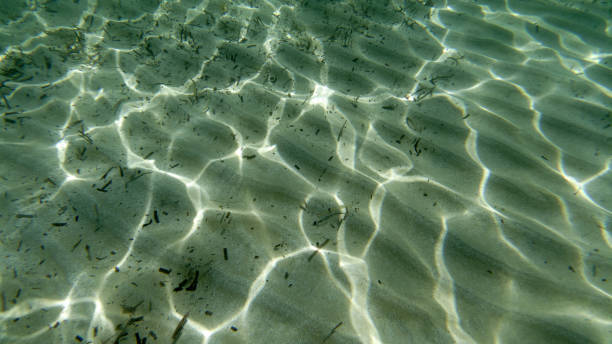 istock sand bottom underwater swimming in turquoise lagoon 1328512857