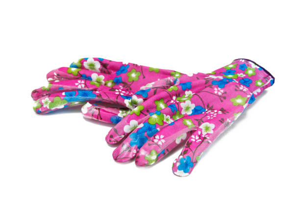 Hand In Protective Glove