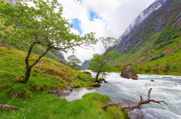 Valley and River with rapids in wilderness of Northern Norway Valley and River with rapids in wilderness of Northern Norway finnmark stock pictures, royalty-free photos & images