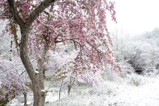 istock Tippecanoe County Indiana 1328520100