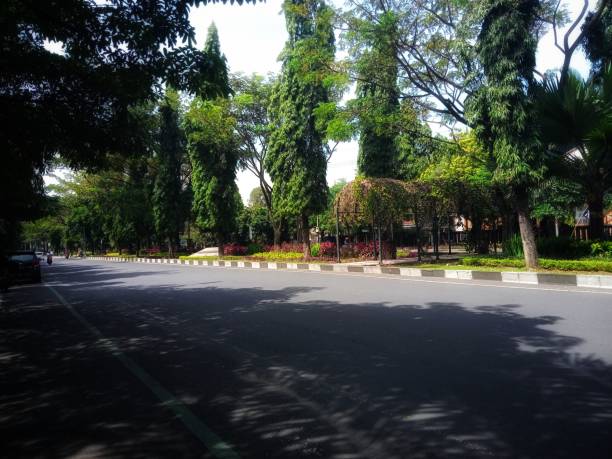 istock middle of the road 1328521037
