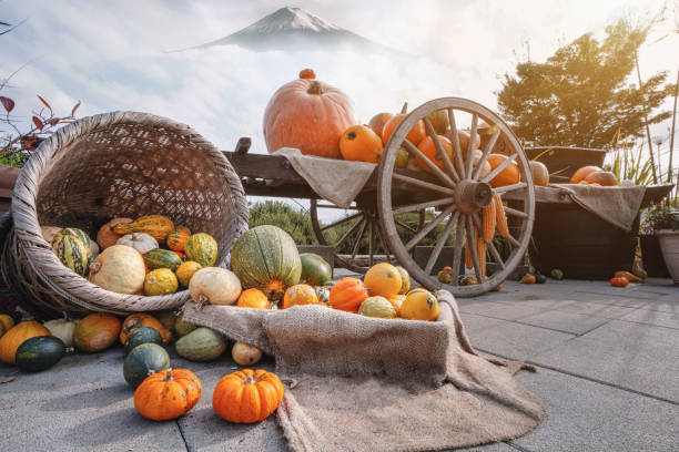 halloween de outono, abóboras. legumes maduros de outono em um velho carrinho de madeira e monte fuji como fundo - pumpkin autumn october squash - fotografias e filmes do acervo