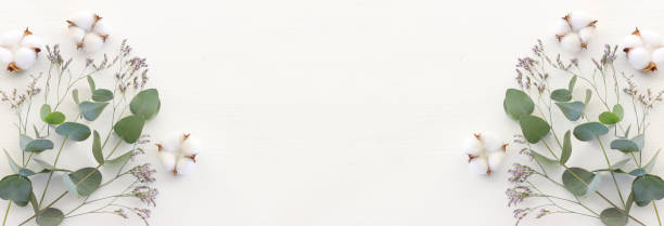 istock Top view image of eucalyptus composition on white wooden background .Flat lay. banner 1328525875