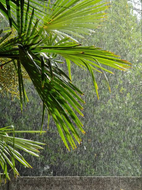 Imagem: Istockphoto.com Imagem: Istockphoto.com