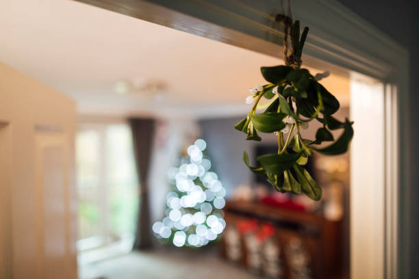 Under the Mistletoe A close-up of mistletoe hanging up on a door frame in a house. The Christmas tree is lit up in the background, out of focus. mistletoe hanging stock pictures, royalty-free photos & images