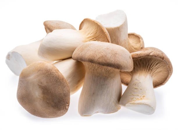istock King oyster mushrooms isolated on white background. 1328532148