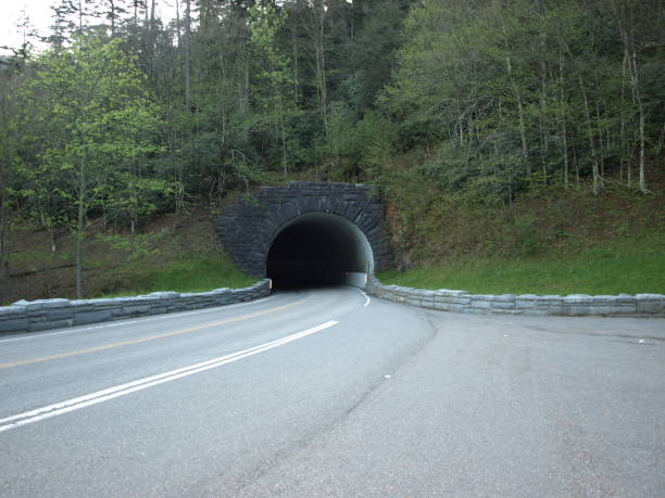 istock Tunnel on the road 1328532598
