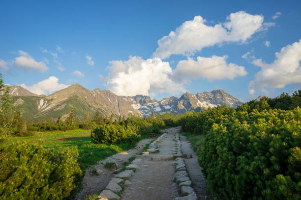 istock Peaks in the afternoon light. Tatra Mountains. 1328535438