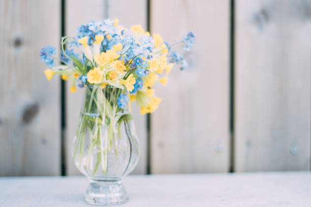 istock Gullviva and forget-me-not in a vase 1328538328