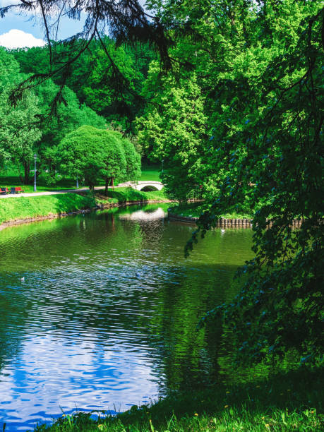 istock pond in the park in spring 1328538370