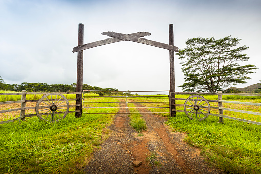 Old gate to field at the Corner's Ranch