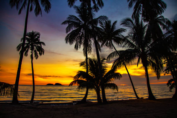 Klong Prao Beach during Sunset in koh Chang, Trat, Thailand Klong Prao Beach during Sunset in koh Chang, Trat, Thailand. High quality photo koh chang stock pictures, royalty-free photos & images