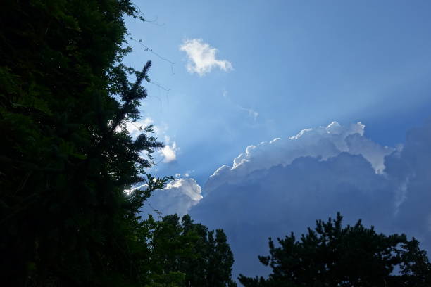 istock Storm clouds  Threatening stormy sky  Meteorology  Wooded landscape 1328542856