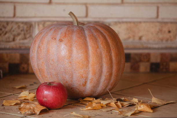 istock Round pumpkin and apple lie on shelf 1328542922