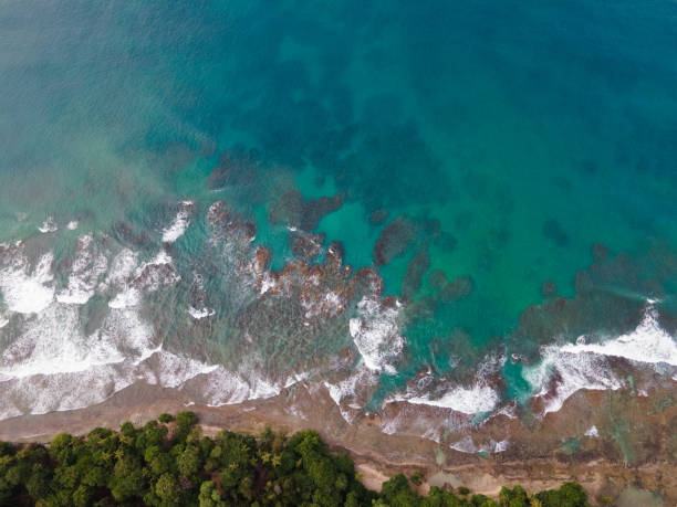istock Coral Reef - Costa Rica Coast 1328544451