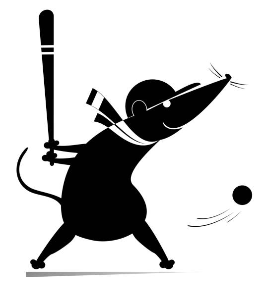 Baseball batter rat or mouse hitting pitch illustration Cartoon baseball hitter rat or mouse swinging at a fast pitch black on white opossum silhouette stock illustrations