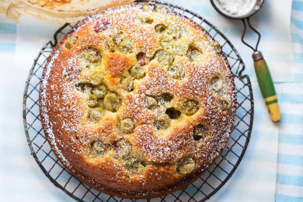 torta di uva spina con zucchero a velo - gooseberry foto e immagini stock