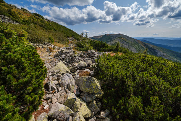 istock Summer Carpathian mountains view. Stony Gorgany massif, Ukraine. 1328549191