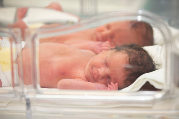 les nouveau-nés sont dans les loges de l’hôpital. - service de maternité photos et images de collection