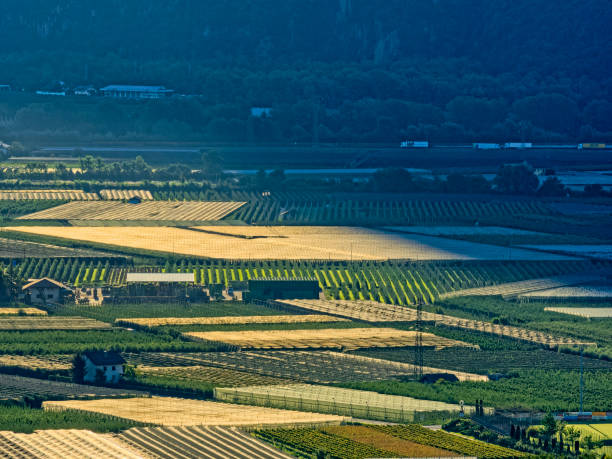 tyrol region of italy - 6008 imagens e fotografias de stock