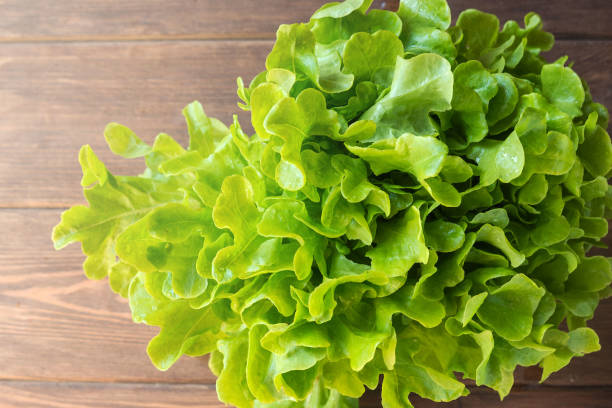 istock Fresh green lettuce leaves. Luscious greens for lunch. 1328552424