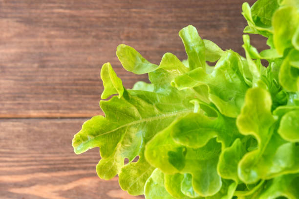 istock Fresh green lettuce leaves. Luscious greens for lunch. 1328552426