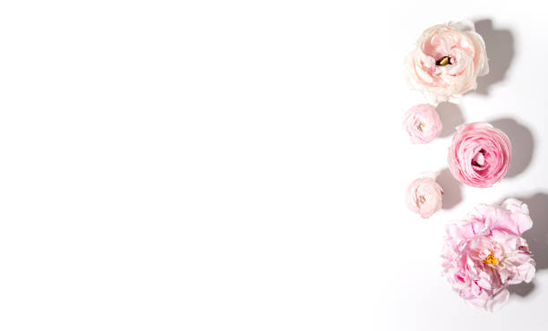 pink flowers on white background, postcard mockup