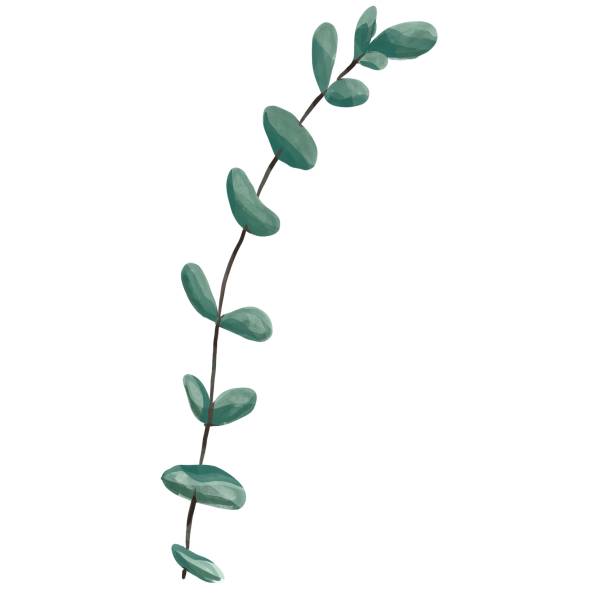 istock Watercolor floral illustration set - green leaf branches collection, for wedding stationary, greetings, wallpapers, fashion, background. Eucalyptus, olive, green leaves, etc 1328556210