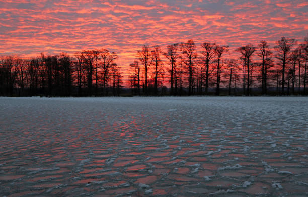 Sunrise on frozen lake Reelfoot Lake State Park, Tennessee reelfoot lake stock pictures, royalty-free photos & images