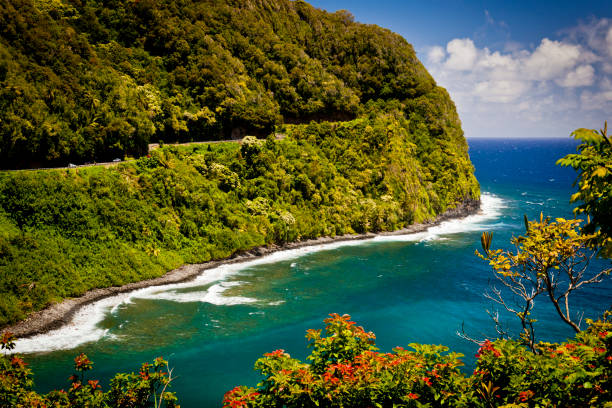 열대 식물, 하나, 마우이, 하와이, 미국로 가는 길 - hawaii islands maui hana road 뉴스 사진 이미지