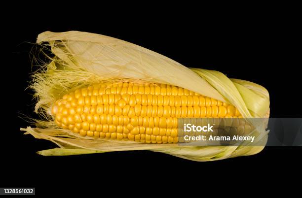 A Swing Of Young Corn Half Peeled From The Husk On A Black Background Isolated Stock Photo - Download Image Now