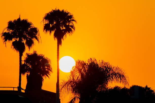 An early morning on the beach in Pacific Beach, San Diego, California serves a quiet landscape. These images display beautiful corners of the ocean and streets surrounding