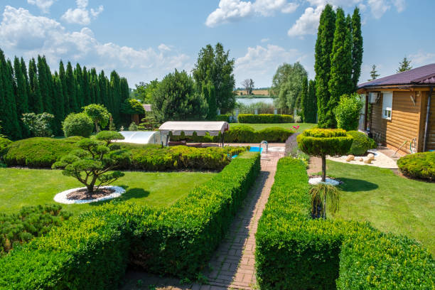 Beautiful backyard garden with nicely trimmed trees, bushes and stones. Landscape design. High quality photo