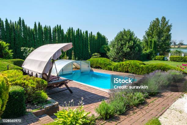 Swimming Pool And Garden With Nicely Trimmed Bushes And Garden Swing In Backyard Stock Photo - Download Image Now
