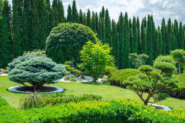 istock Beautiful backyard garden with nicely trimmed trees, bushes and stones. 1328566996