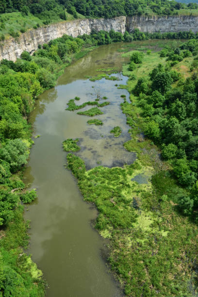 vista do antigo rio, que se tornou um pântano nas laterais coberto com grama e árvores - global warming drought riverbank dirt - fotografias e filmes do acervo