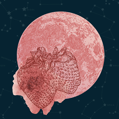 A detailed line art illustration of the lunar month of June with a pink-red strawberry moon on a constellation background.