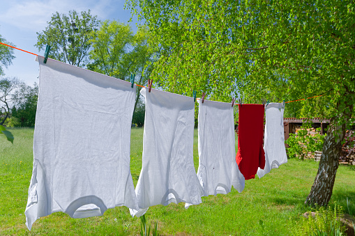 Clothesline  with drying laundry in garden between deciduous trees in summer