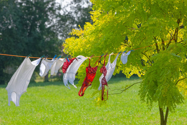 istock Clothesline  with drying laundry in garden between deciduous trees in summer 1328571220