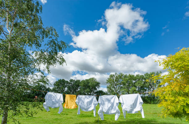 istock Clothesline  with drying laundry in garden between deciduous trees in summer 1328571280