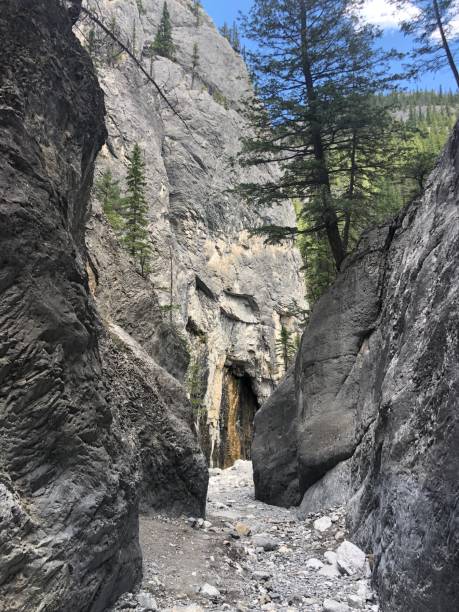 istock Grotto Canyon in Kananaskis near Canmore, Alberta, Canada. 1328573882